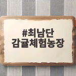 최남단 감귤체험농장