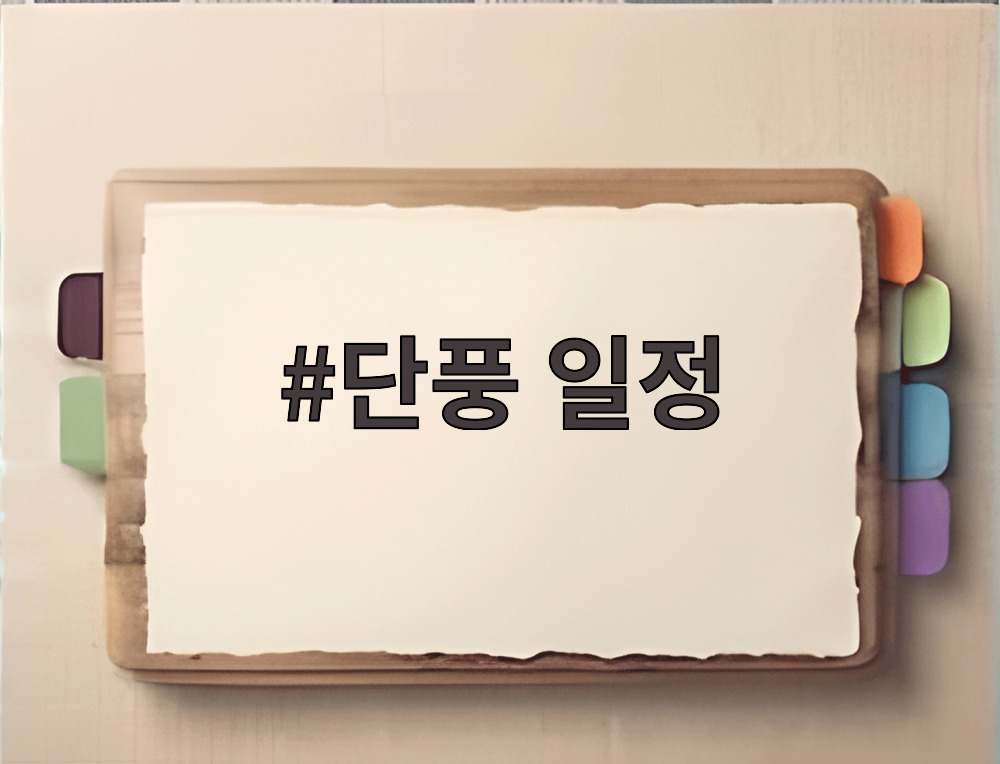 단풍 일정