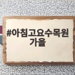 아침고요수목원 가을 들국화와 단풍 언제 보러 가야 할까요 아침고요수목원 가을