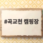 곡교천 캠핑장 가을밤 불멍과 은행나무길 산책 한번에 곡교천 캠핑장