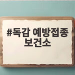 독감 예방접종 보건소