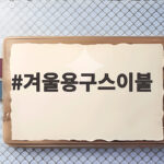 겨울용구스이불