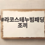 라코스테누빔패딩조끼