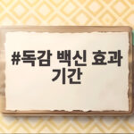 독감 백신 효과 기간
