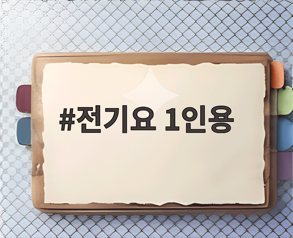 전기요 1인용