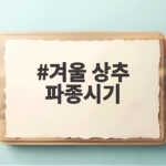 겨울 상추 파종시기