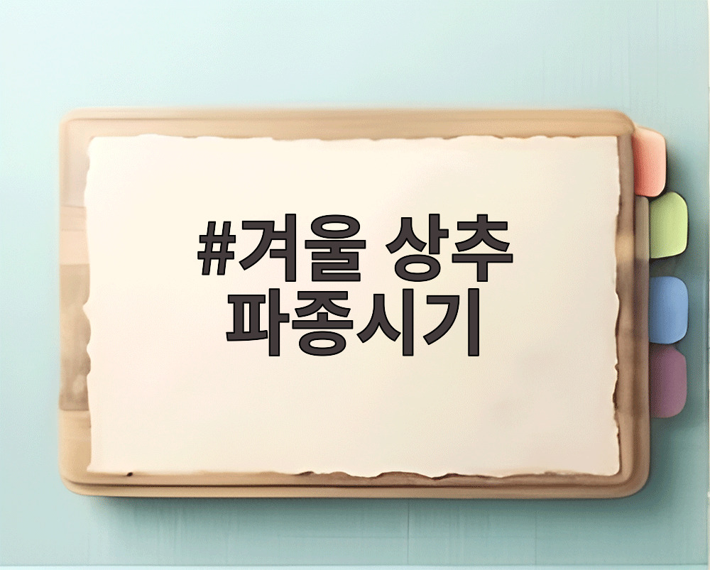 겨울 상추 파종시기