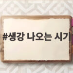 생강 나오는 시기