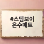 스팀보이 온수매트