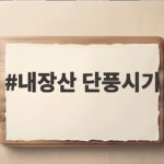내장산 단풍시기