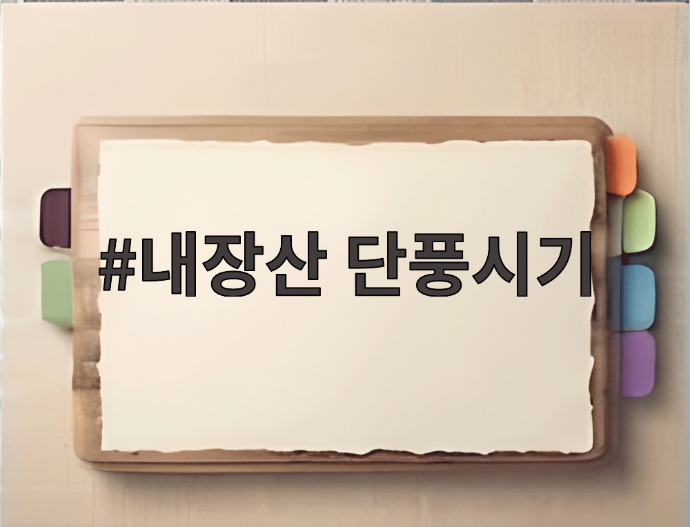 내장산 단풍시기