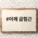 어깨 굽힘근