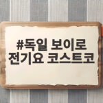 독일 보이로 전기요 코스트코