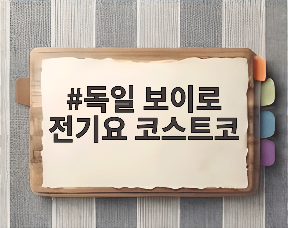 독일 보이로 전기요 코스트코