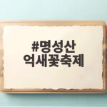 명성산 억새꽃축제