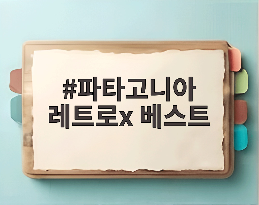 파타고니아 레트로x 베스트