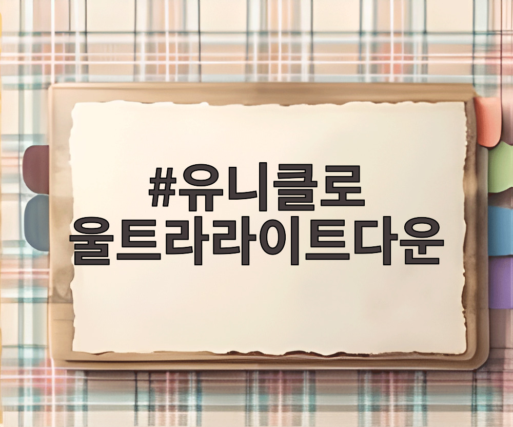 유니클로 울트라라이트다운