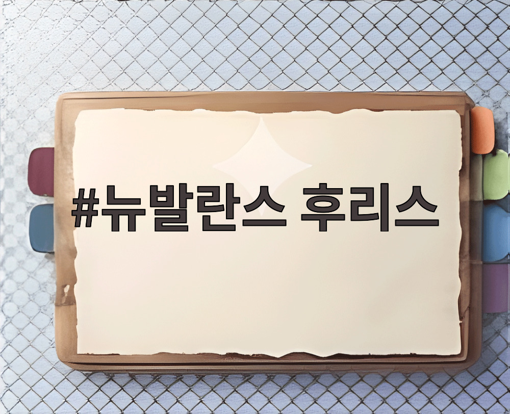 뉴발란스 후리스
