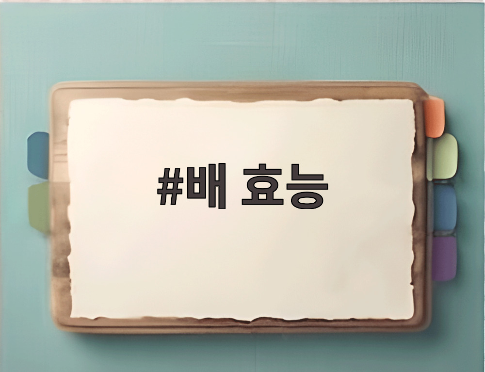 배 효능