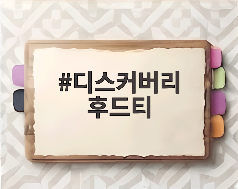 디스커버리 후드티