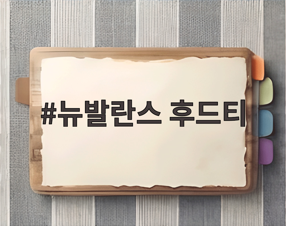 뉴발란스 후드티