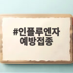 인플루엔자 예방접종