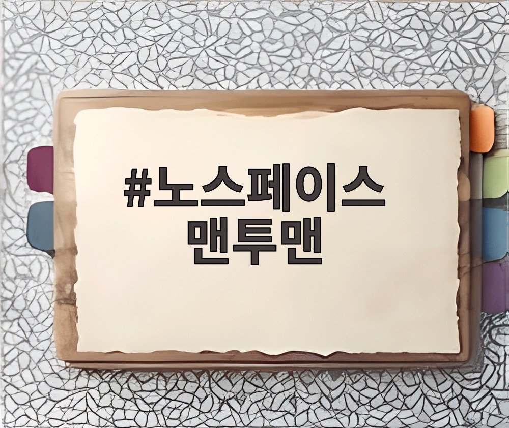 노스페이스 맨투맨