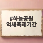 하늘공원 억새축제기간