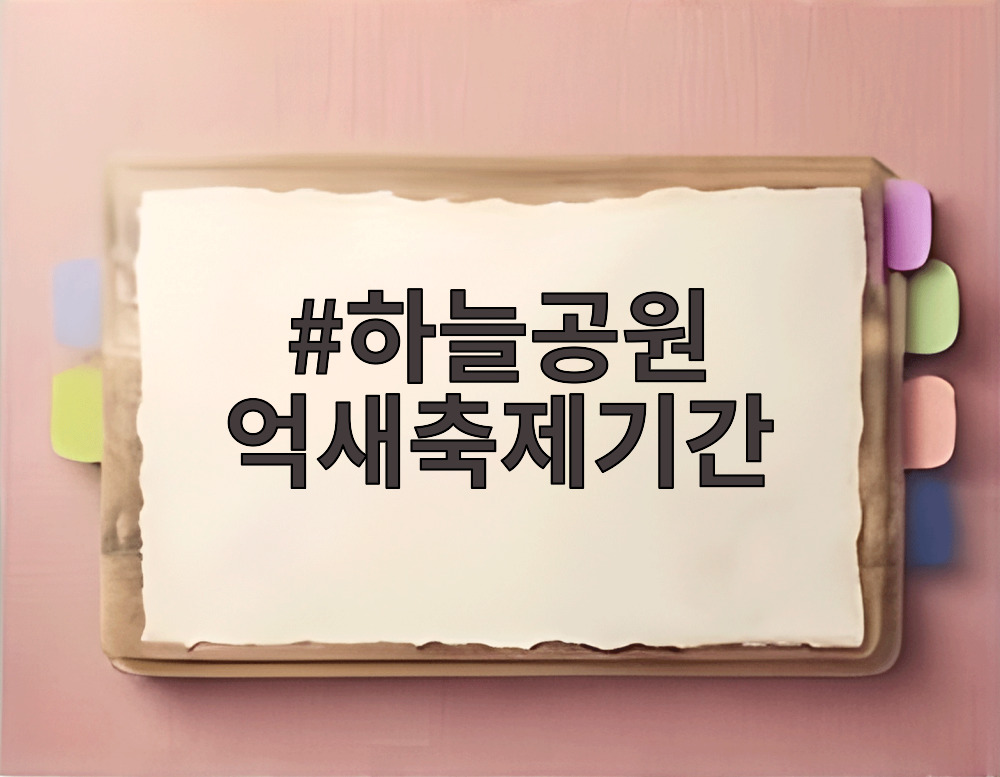 하늘공원 억새축제기간