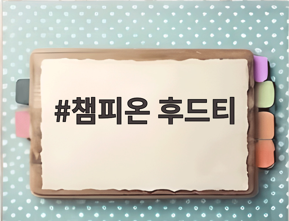 챔피온 후드티