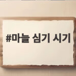 마늘 심기 시기 지역별 날씨와 품종에 맞추면 수확이 달라져요 마늘 심기 시기