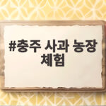 충주 사과 농장 체험