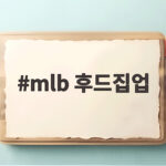 mlb 후드집업