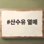 산수유 열매