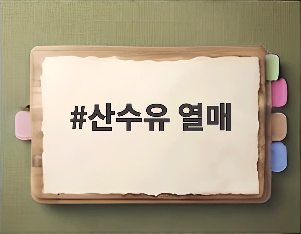 산수유 열매