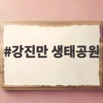 강진만 생태공원 20만평 갈대밭 축제 일정과 산책 정보 강진만 생태공원