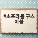 소프라움 구스 이불 고르기 전에 알아야 할 따뜻한 진실 소프라움 구스 이불