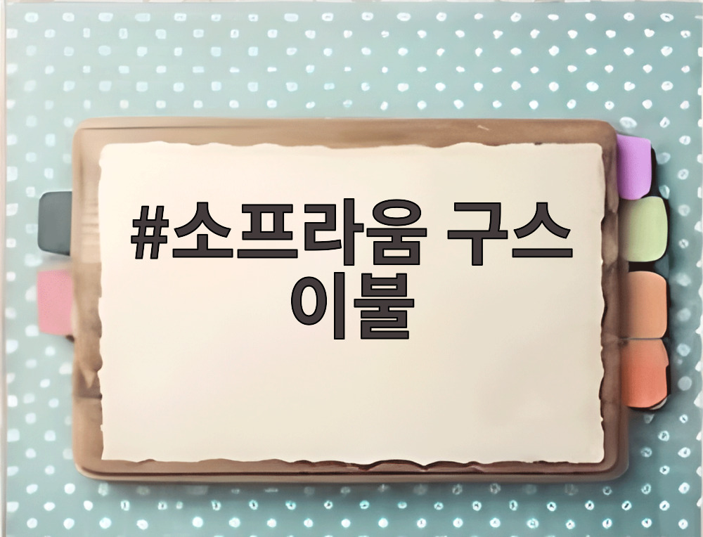 소프라움 구스 이불