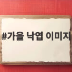 가을 낙엽 이미지