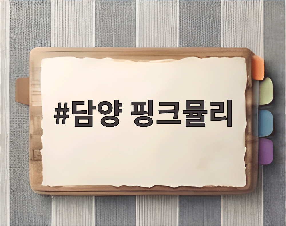 담양 핑크뮬리