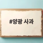 양광 사과 어떤 맛일까 10월 제철 홍로 부사와 어떻게 다를까 양광 사과