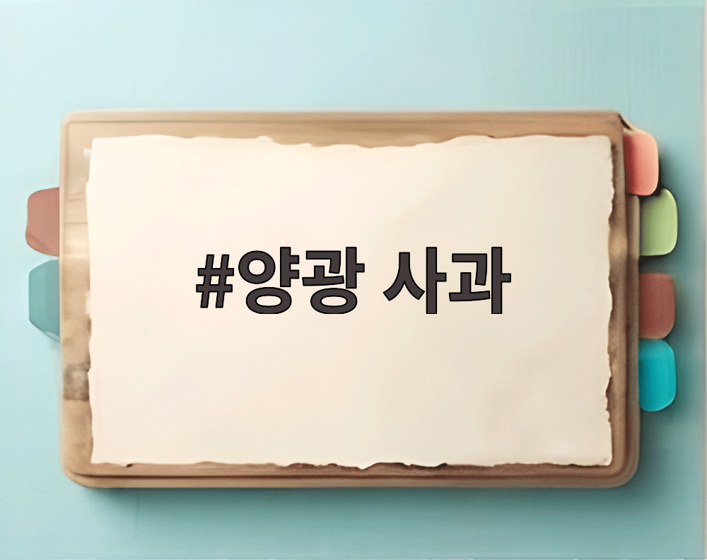 양광 사과