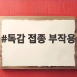 독감 접종 부작용