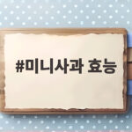 미니사과 효능 제대로 알면 작은 사과가 건강 선물이 됩니다 미니사과 효능
