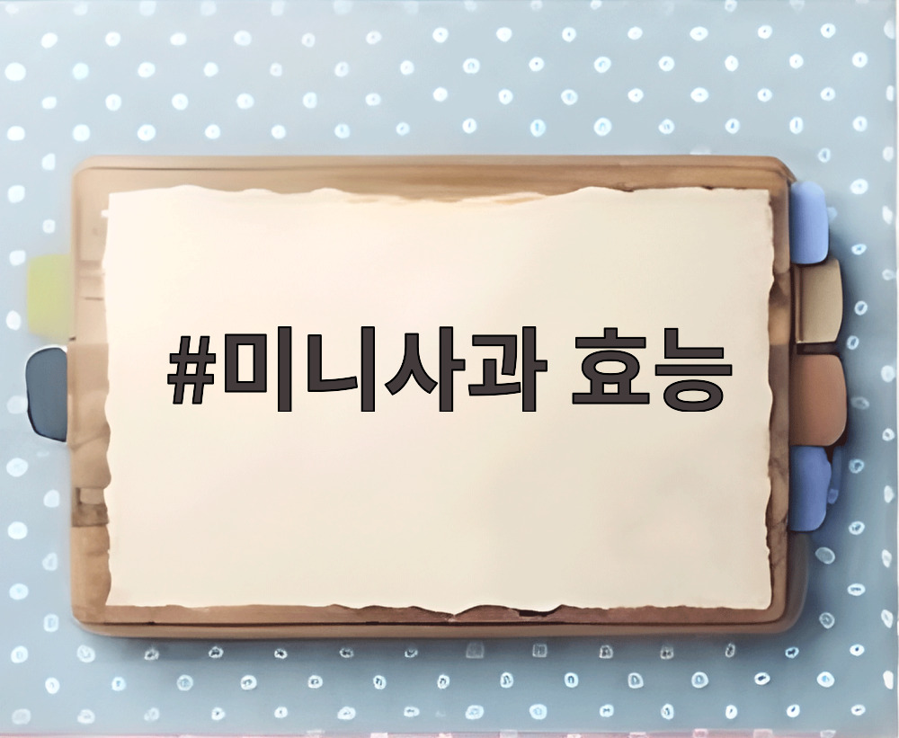 미니사과 효능
