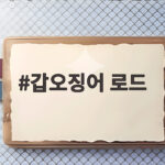 갑오징어 로드