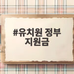 유치원 정부 지원금
