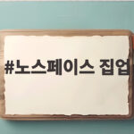 노스페이스 집업