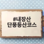 내장산 단풍등산코스