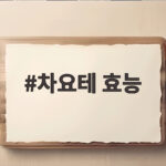 차요테 효능